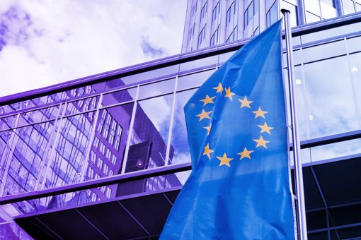 European flag in front of building