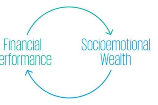 Socioemotional wealth links to financial performance