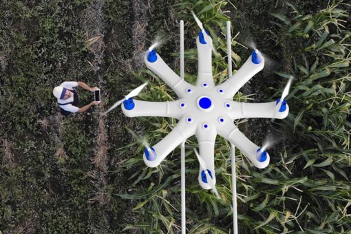 Farmer flying drone flying in field