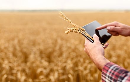 Farmer in field holding tablet computer
