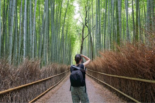 female-photographer-in-kyoto-bamboo-forest