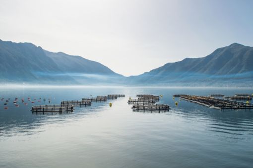 A fish farm in the ocean with mountains in the background