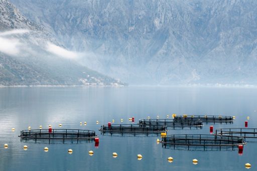 fish farm out in fjord