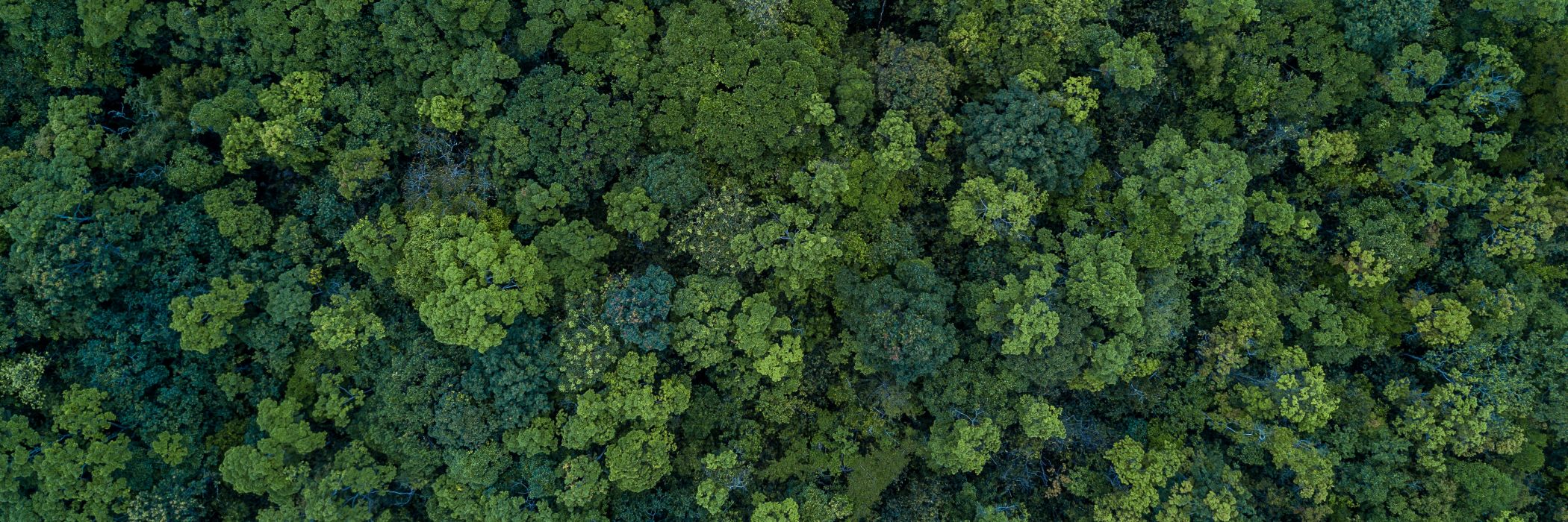 KPMG Net Zero Readiness Index 2021