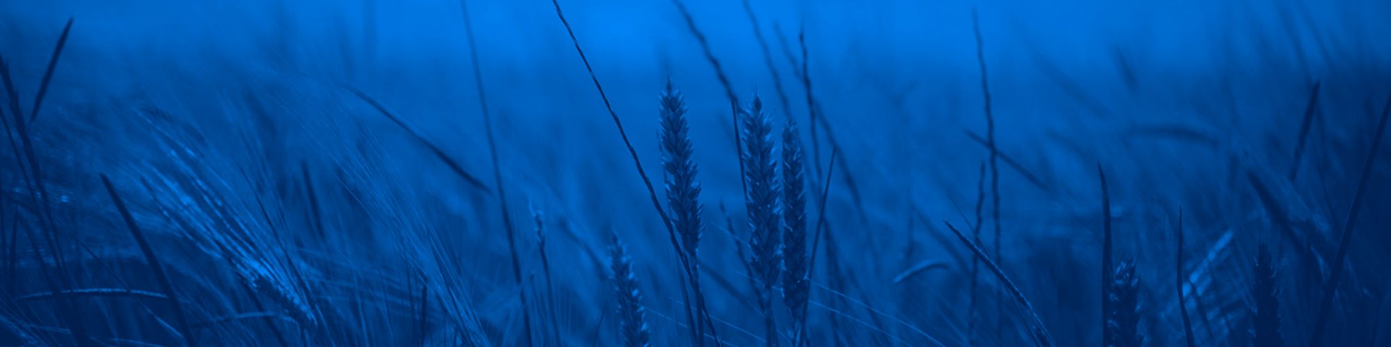 Egalim 2 : publication au JORF du texte définitif