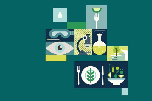 Baromètre de l’innovation « Entreprises agricoles & agroalimentaires »
