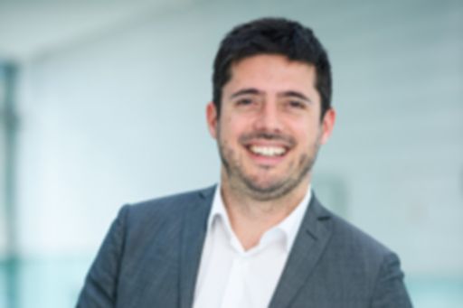 François Guillou - Associate Director M&A