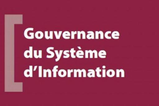 Guide d'audit Gouvernance du Système d'Information