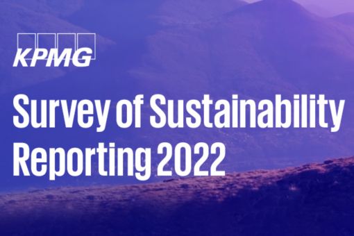 Global Sustainability Survey Reporting 2022