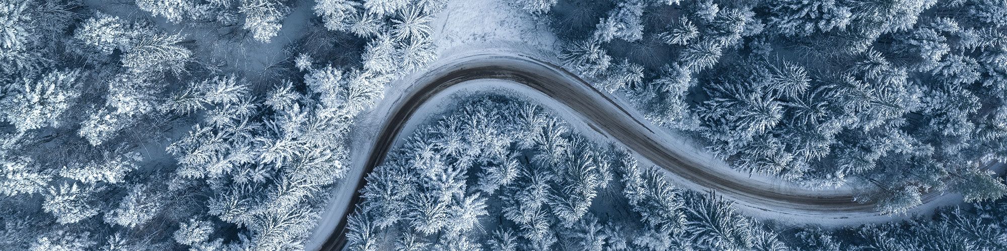 Straße durch schneebedeckten Wald