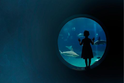 Girl admiring fish in an aquarium