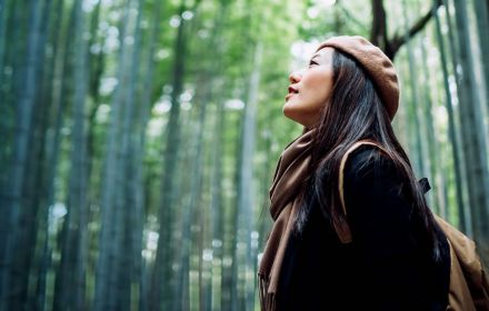 Asian girl in bamboo forest