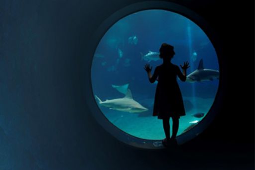 Girl standing near a round window looking at fishes in aquarium