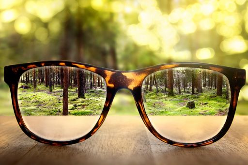 forest, beyond the glasses