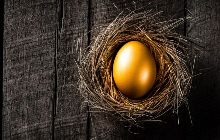 golden-egg-in-nest