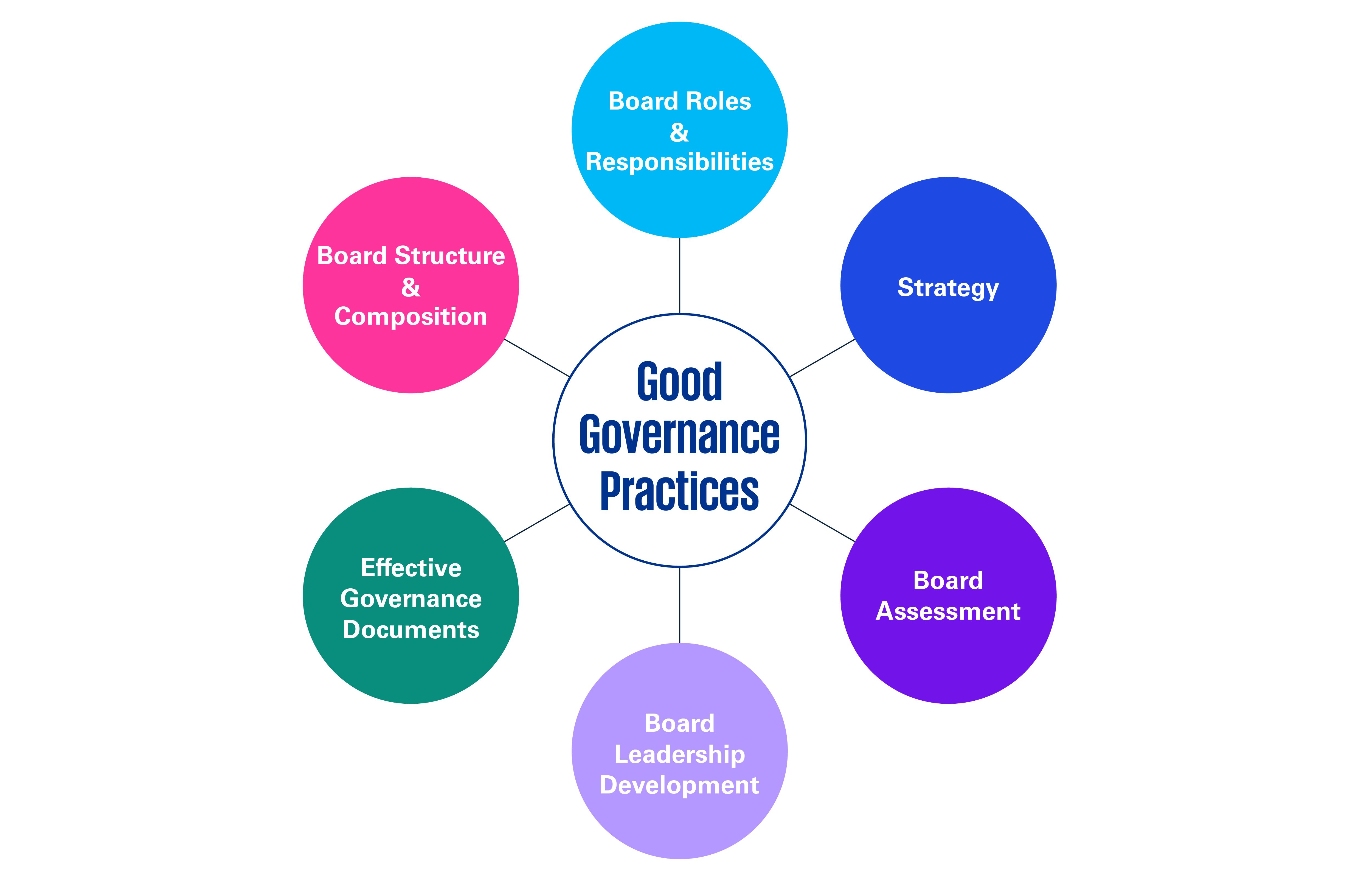 Good Governance Practices