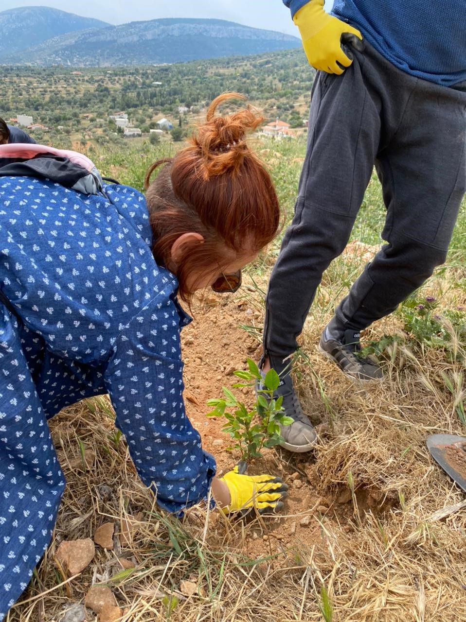 αναμνηστικές φωτογραφίες με τους εθελοντές επί τω έργω