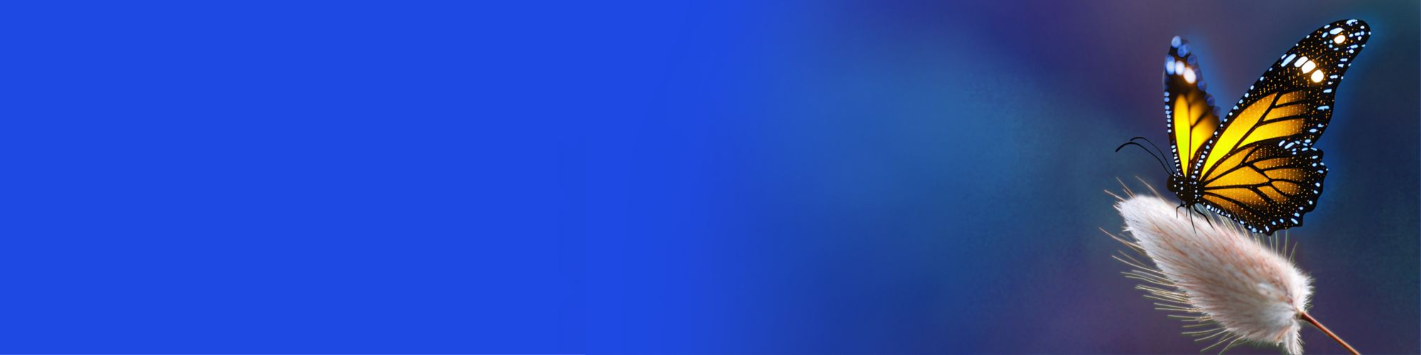 29th HR Symposium banner