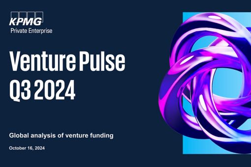 venture pulse q3 2024 visial