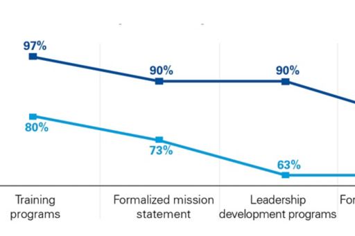 Graph showing top five soft controls implemented by innovative leaders