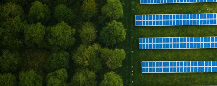 Green trees and solar panels