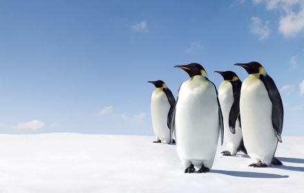 Avez-vous clairement communiqué les incidences des questions climatiques?