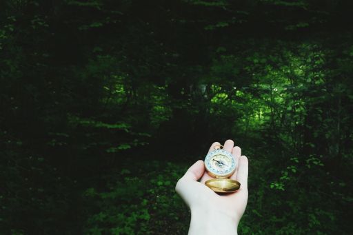 hand-holding-compass-in-forest