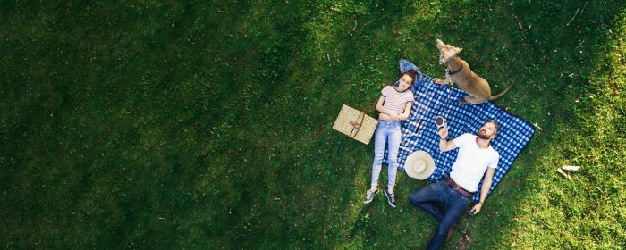 Happy family having a picnic in the park