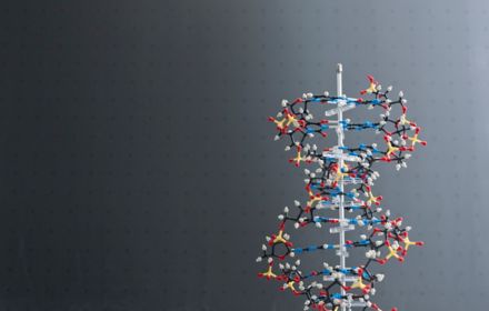 DNA strand model