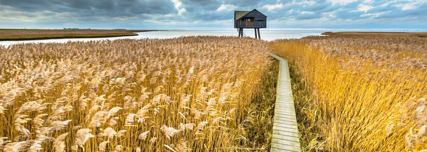 Klimaatrisico-scenario's en net-zero decarbonisatie paden