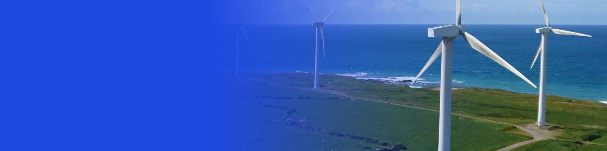 Wind turbines in field near coastline