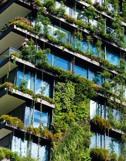 Plants growing on apartment building