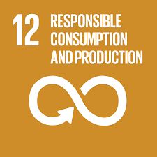 12. Responsible consumption and production