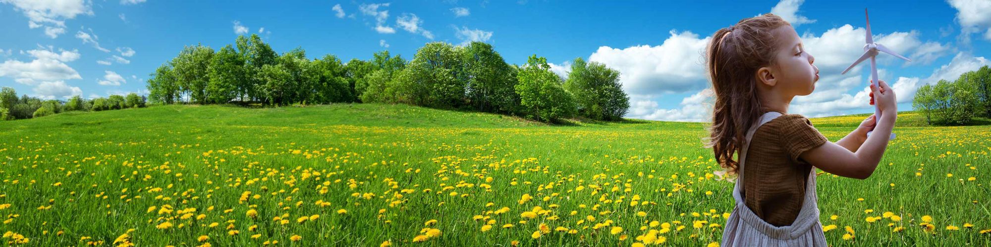 Girl holding toy wind turbine in field of flowers