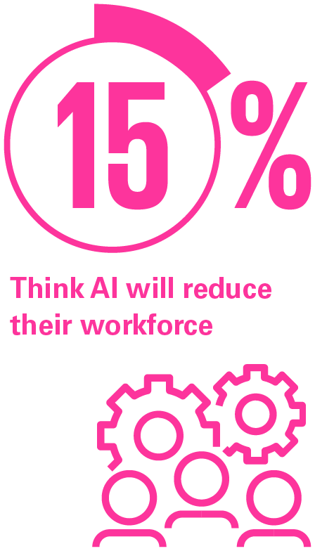 15 %
Think AI will reduce
their workforce.