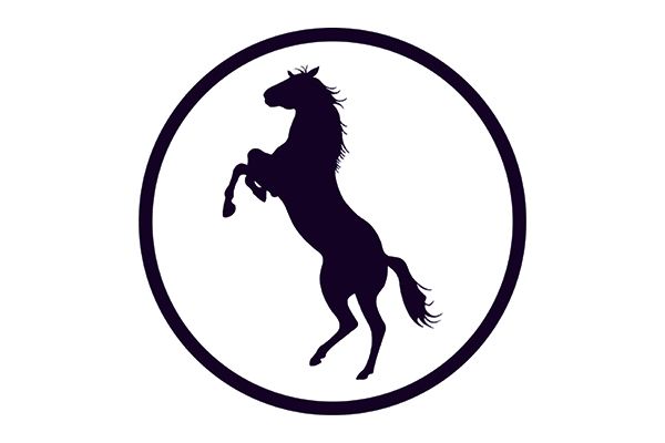 equitrace logo