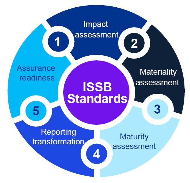 ISSB standards - steps to take - diagram