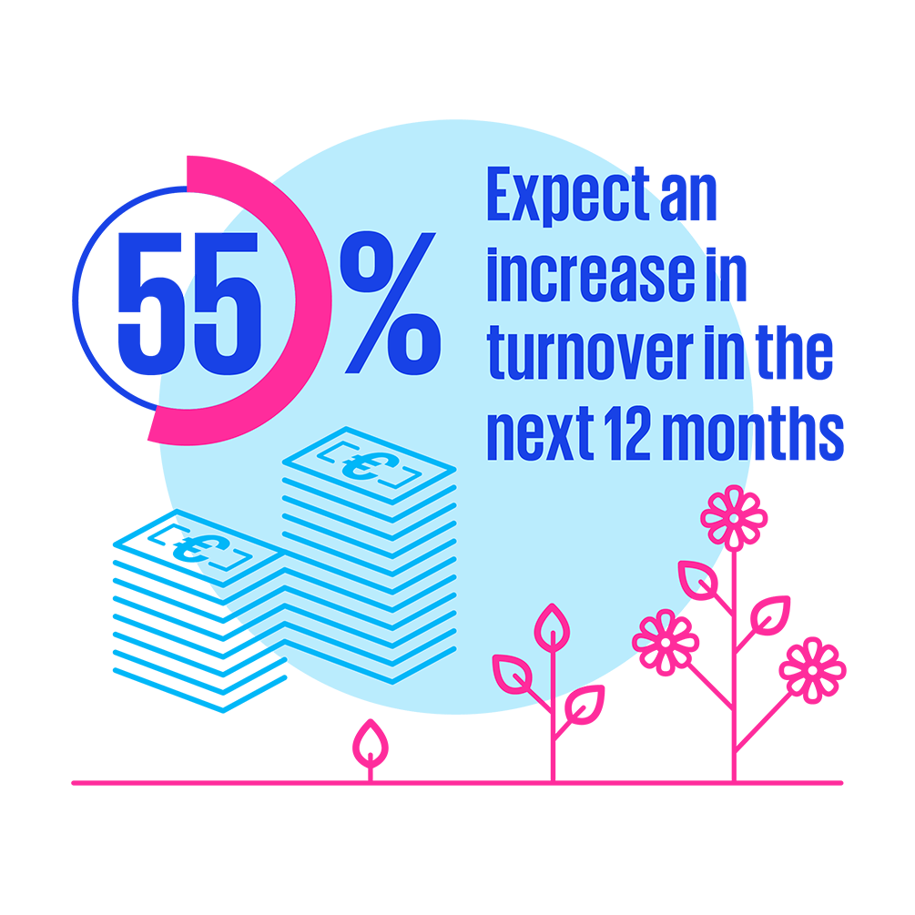55% expect an increase in turnover in the next 12 months
