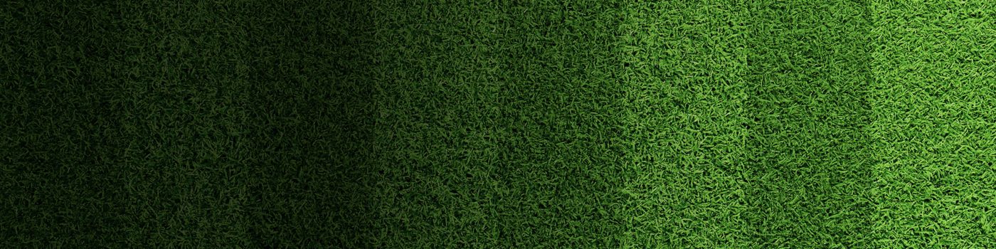 Stripes of football pitch grass seen from above
