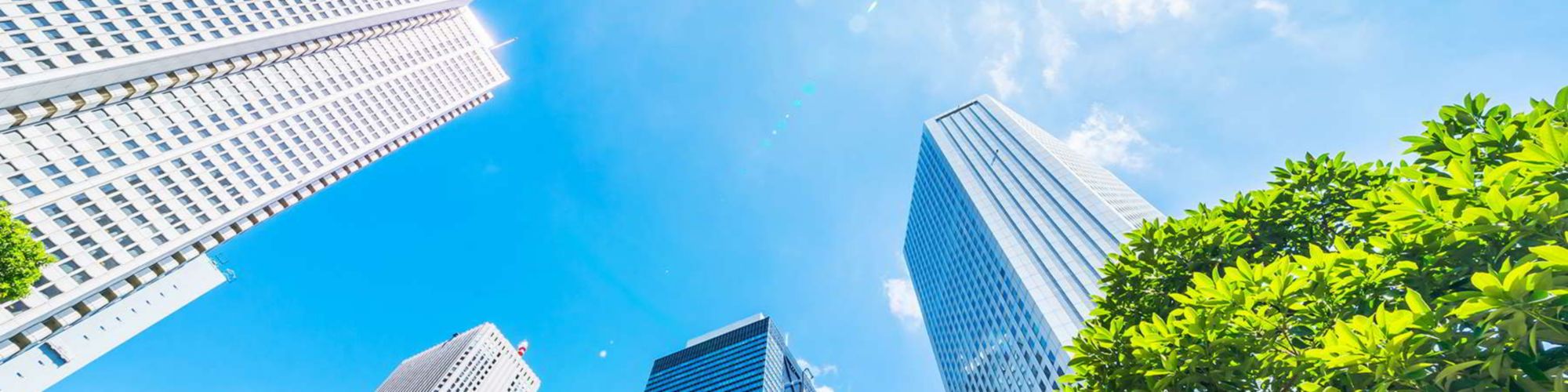 looking up view of panoramic modern city skyline with blue sky and green tree in shinjuku, tokyo, japan