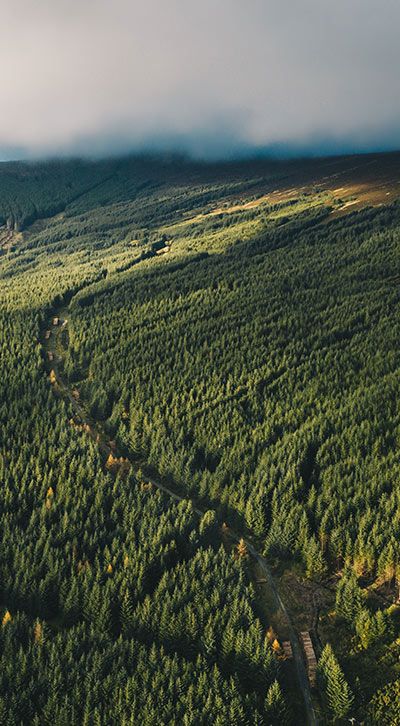 Aerial view of a dense monoculture spruce forest in the Wicklow Mountains at the foot of the 757m peak called Kippure