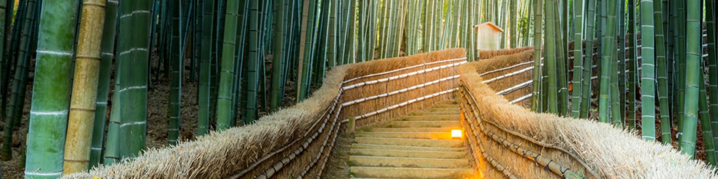 illuminated-wooden-path-bridge-between-bamboo-forest