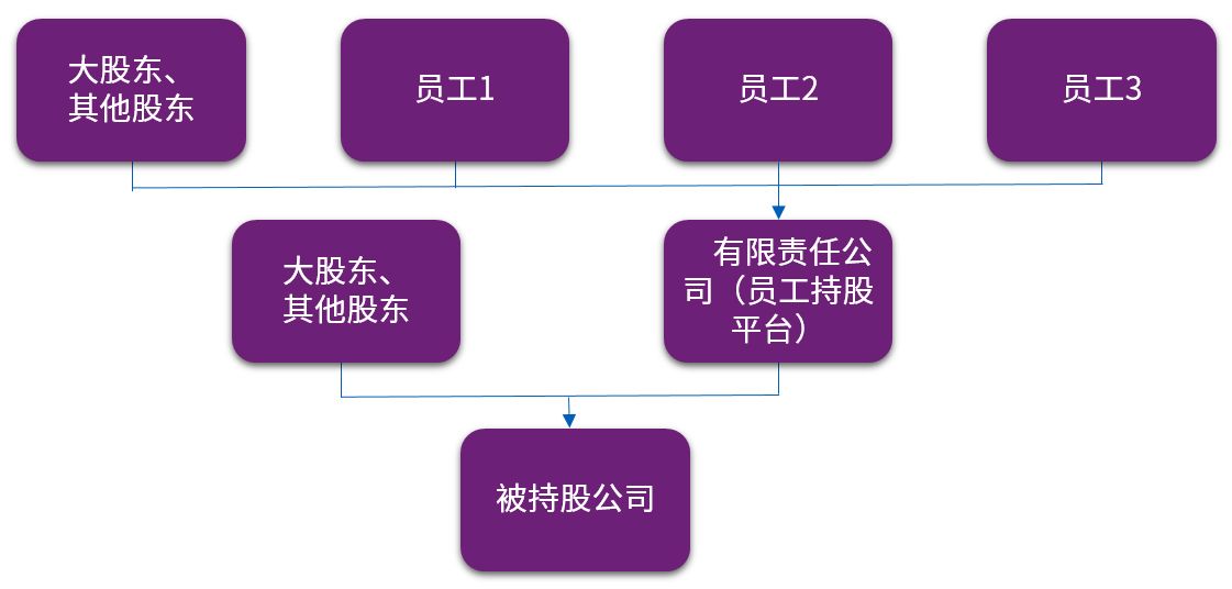 通过有限责任公司间接持股股权架构