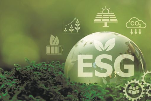 ESG 정보공시 의무화 시대, 기업은 무엇을 준비해야 하는가?