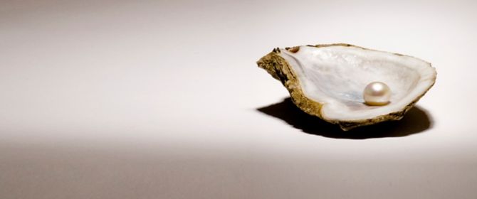 pearl in oyster shell