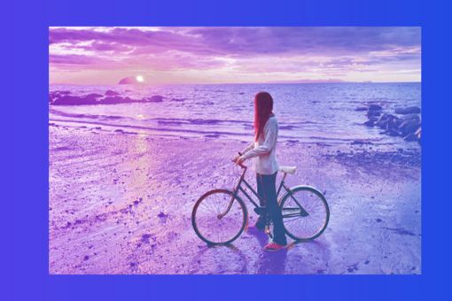 Our Impact Plan: Reports