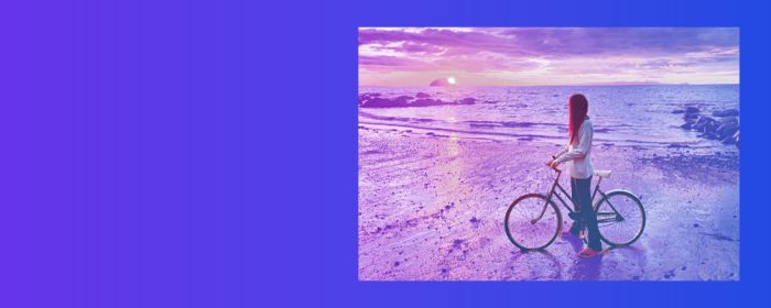 Our Impact Plan: Reports