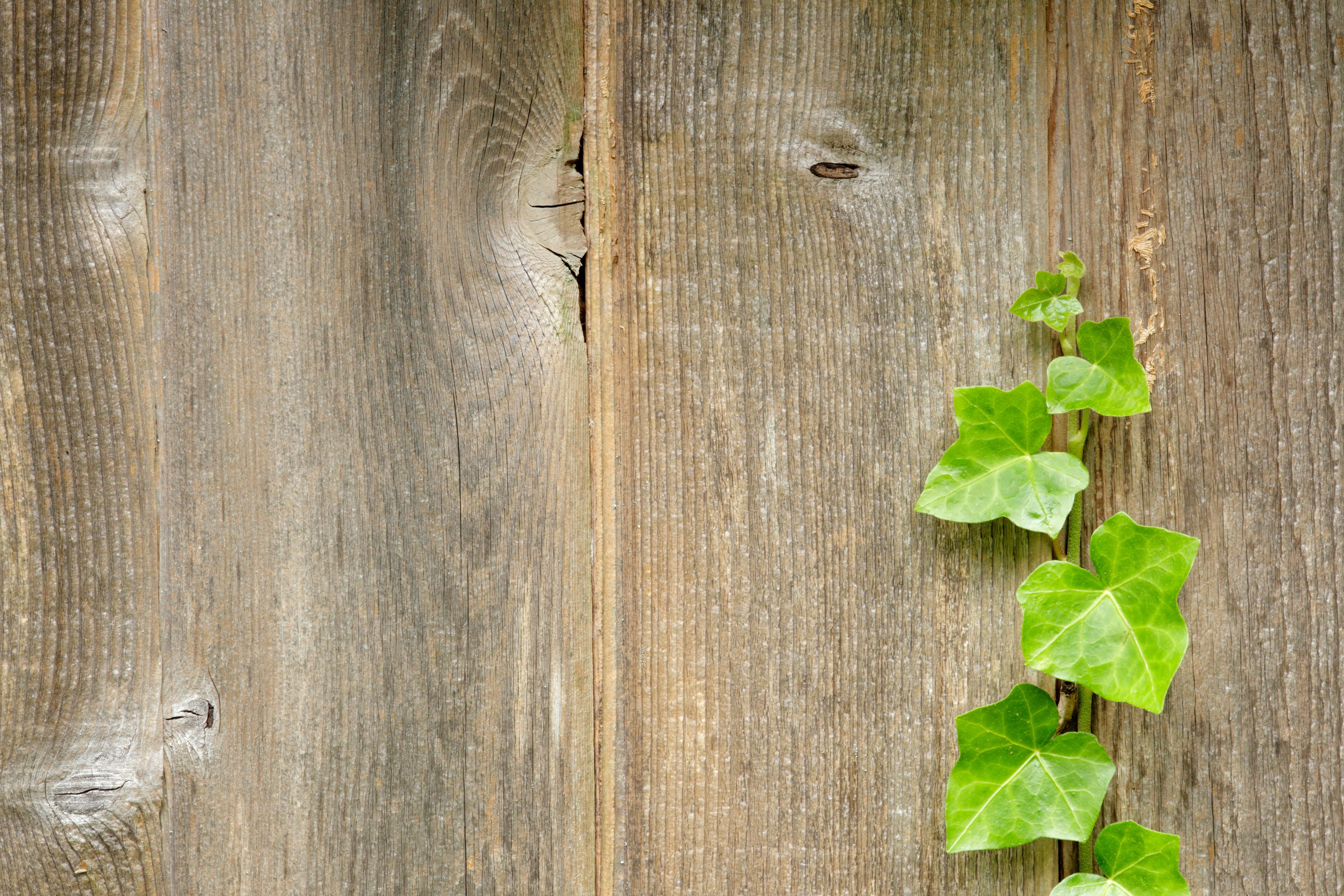 Actions pour l'environnement