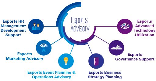 Esports　Advisory