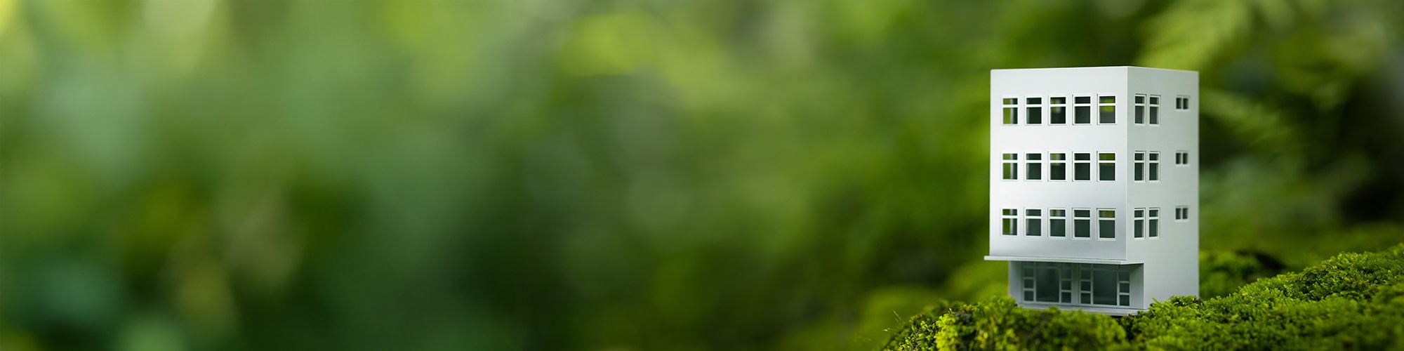 環境デュー・ディリジェンスの法制化と企業に求められる対応